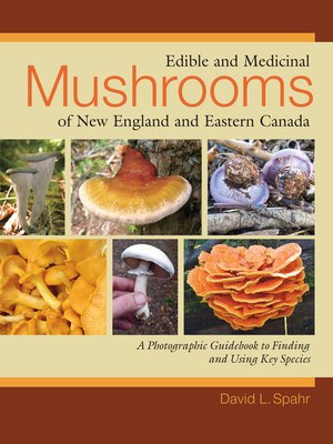 cover image of Edible and Medicinal Mushrooms of New England and Eastern Canada